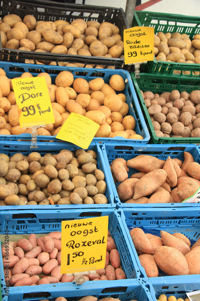 Fresh harvested potatoes