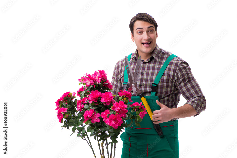 Young man gardener isolated on white Young man gardener isolated on white