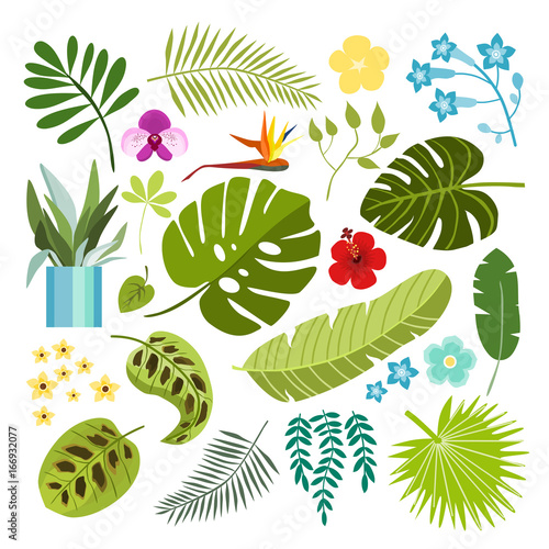 Summer tropical graphic elements with tropical plant. Jungle floral illustrations, palm and monstera leaves hibiscus and orchid flower, flat design. Isolated stock vectors.