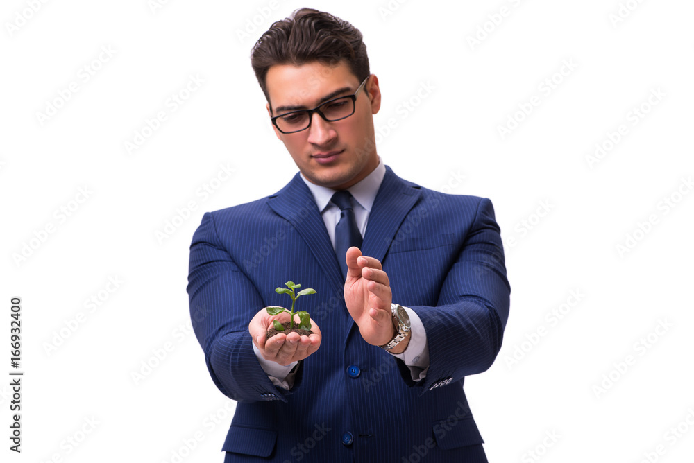 Businessman holding green sprouts isolated on white Businessman holding green sprouts isolated on white