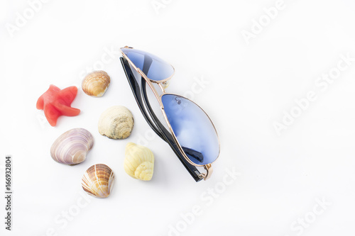 Sunglasses and marine snails.