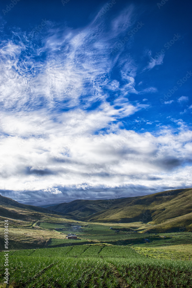 landscape landscape