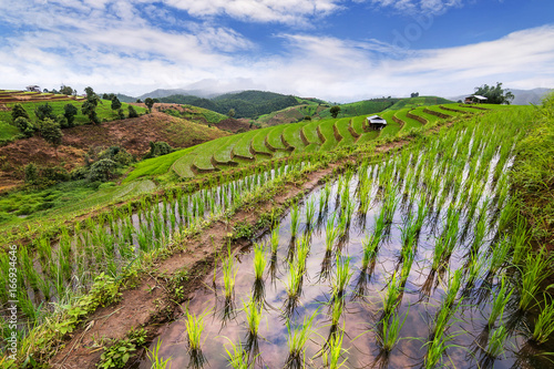 Terrace rice field over the mountain range and beautiful sky.