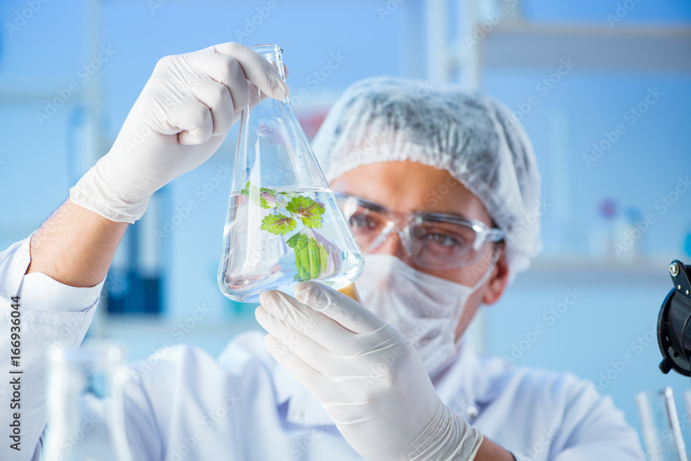 Biotechnology concept with scientist in lab Biotechnology concept with scientist in lab