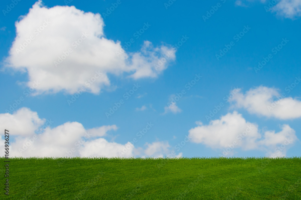 Cloudy sky and green grass in nature concept Cloudy sky and green grass in nature concept