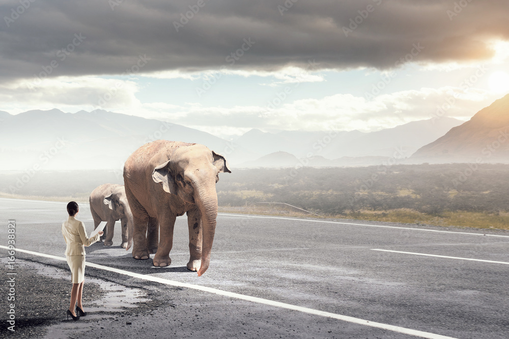 Obraz premium First steps on her long way . Mixed media