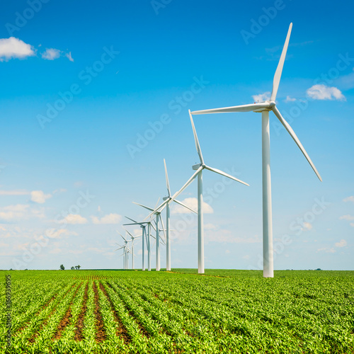Wind farm in agriculture corn field