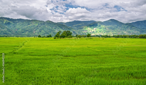 a green rice field with trees, a spot lit by sunlight against the background of mountains and sky, on the border of Vietnam and Cambodia