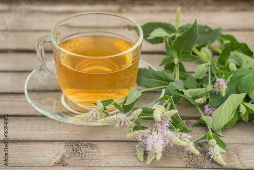 A glass mug with golden tea with leaves and mint flowers stands on a saucer and on a wooden table in summer