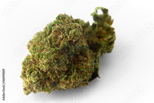 Close up of Gods Gift prescription medical marijuana flower bud
