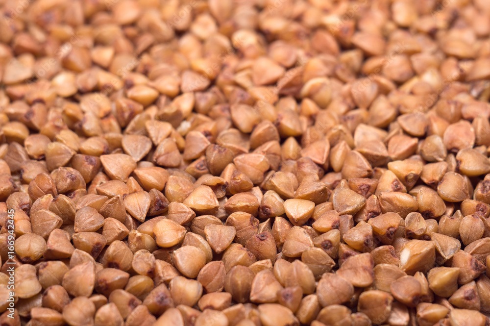 Buckwheat background Buckwheat background