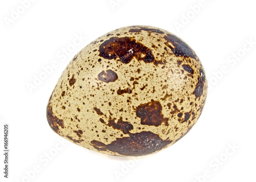 Single quail egg isolated over white background