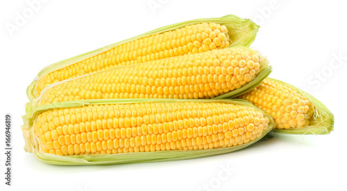 Fresh corn on cob isolated on white background
