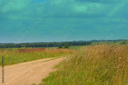 A beautiful natural summer countryside landscape  rural road into the distance amid the fields with a sunny day . Wildlife. Nature 