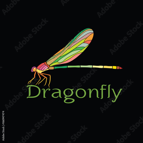 Vector of colorful dragonfly design(Amphipterygidae) on black background. Insect Animal.