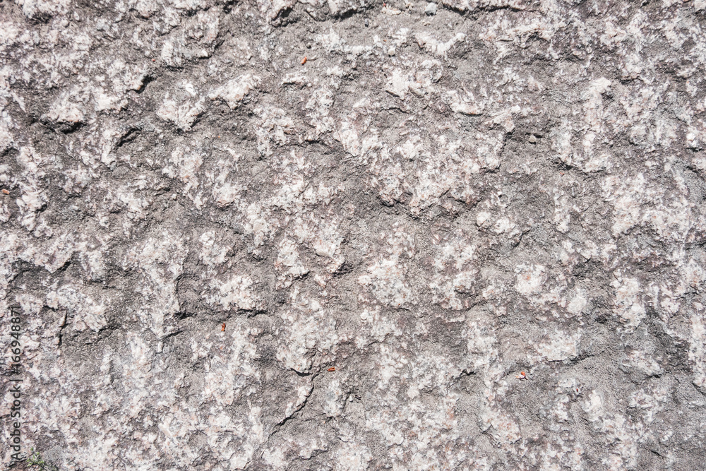 rough old cement wall background rough old cement wall background