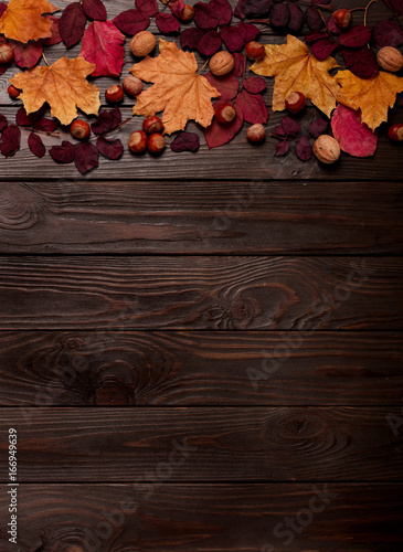 Flat lay frame of autumn crimson and yellow leaves, hazelnuts, walnuts and apples on a dark wooden background.