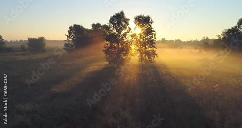Gliding toward the sunrise through foggy trees on dreamlike landscape.
