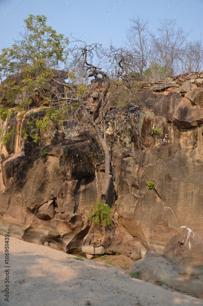 The African landscape. Zimbabwe. The African landscape. Zimbabwe.