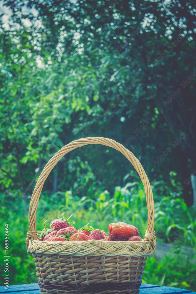 Strawberry in Basket on Grass Retro Strawberry in Basket on Grass Retro