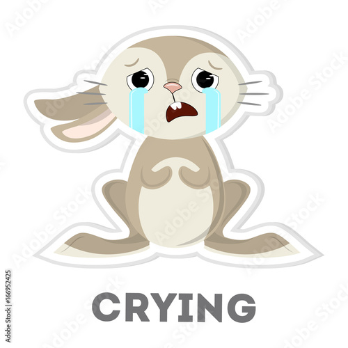 Isolated crying rabbit.