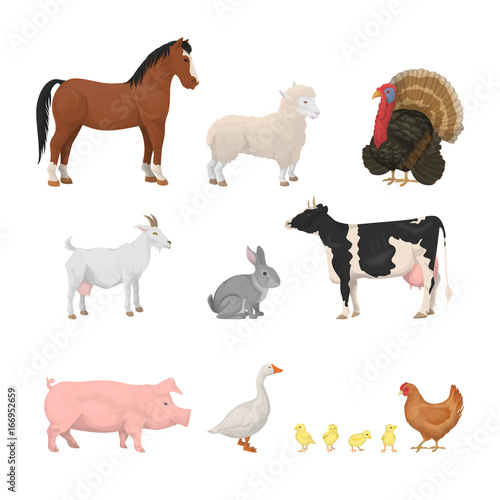 Farm animals set.