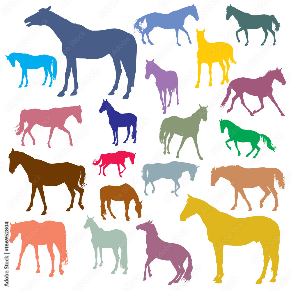 Naklejka premium Vector set of colorful horses silhouettes
