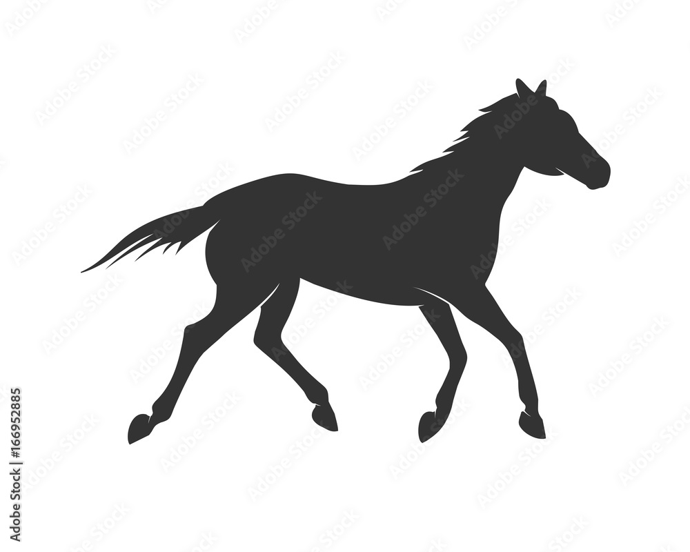 Beautiful Standing Horse Silhouette