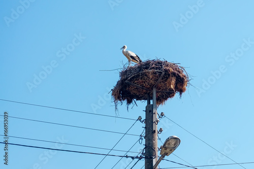 Stork in its nest on lamp post photo