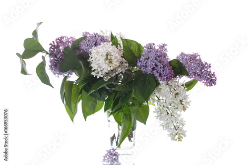 Bouquet of lilac photo