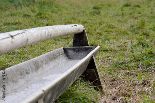 Futtertrog auf einer Lichtung