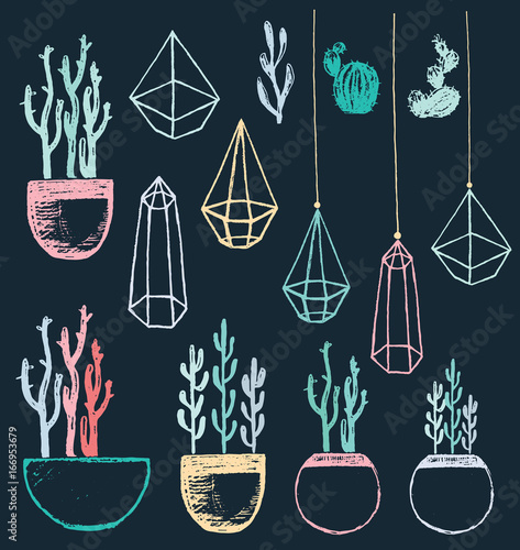 Succulents and Cacti in Pots and Geometric Terrariums Chalk Drawing Vector Set