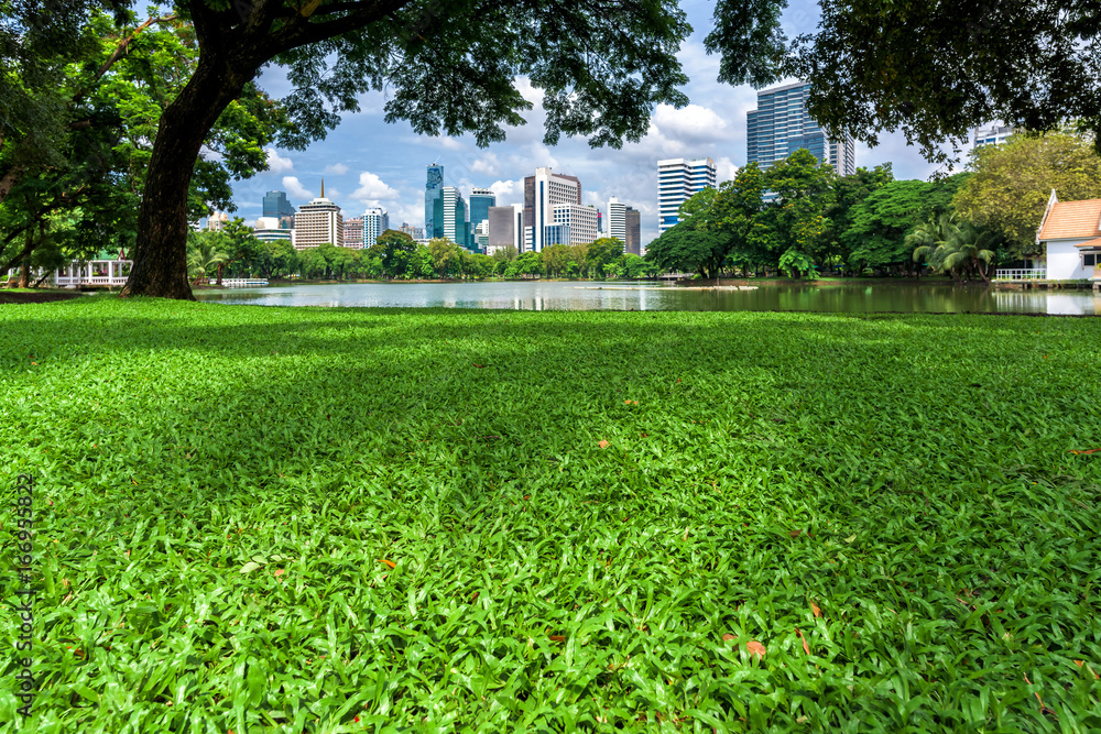 Green grass field in park at city center with business buildings in Bangkok, Thailand Green grass field in park at city center with business buildings in Bangkok, Thailand