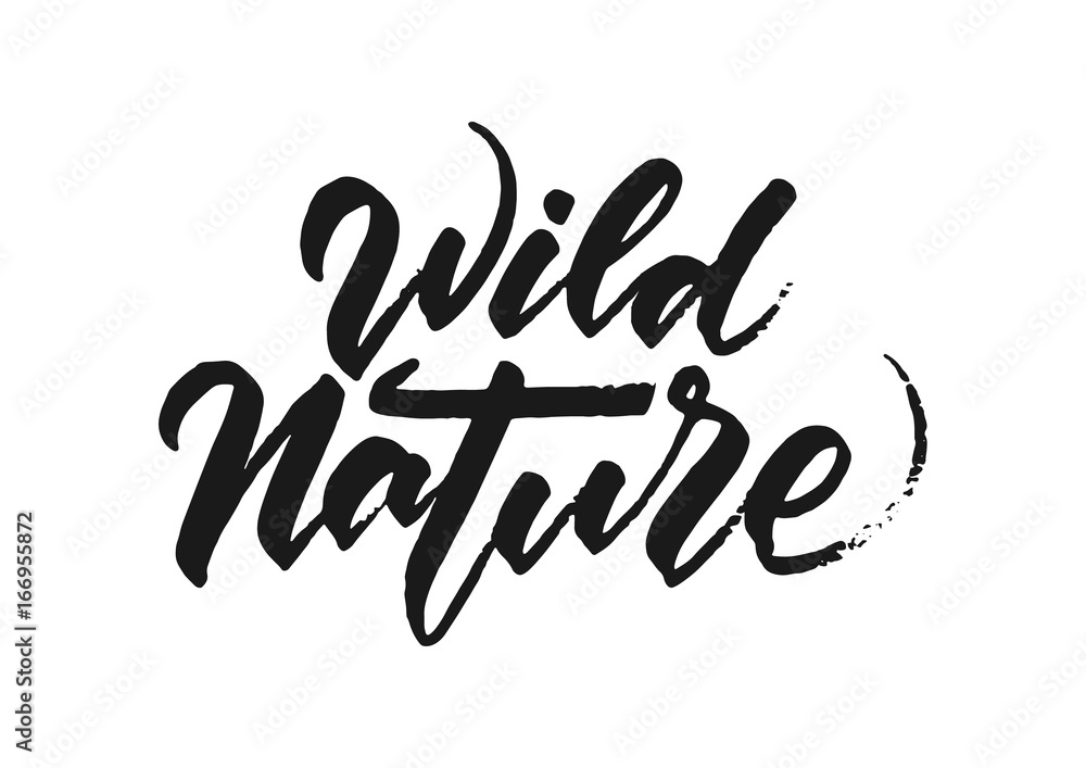 Fototapeta premium Vector illustration: Handwritten grunge brush lettering of Wild Nature on white background. 