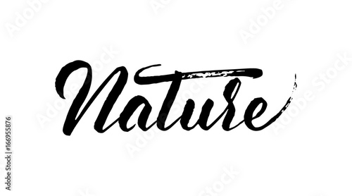 Vector illustration: Handwritten brush ink lettering of Nature on white background.