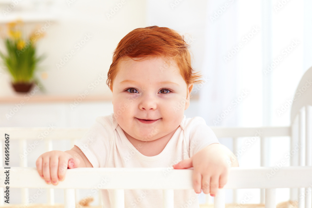 poprtait of cute happy infant baby standing in a cot at home poprtait of cute happy infant baby standing in a cot at home