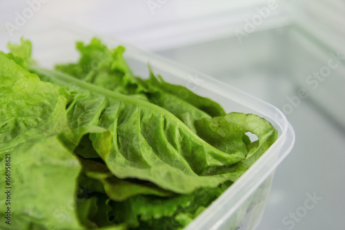 The leaves of green salad in the plastic food container on a shelf of a fridge.