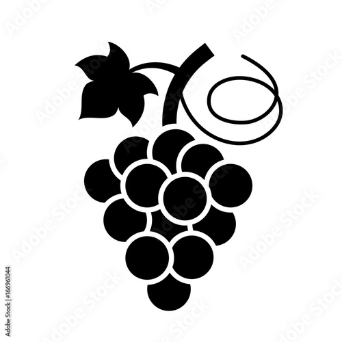 Bunch of grapes vector icon