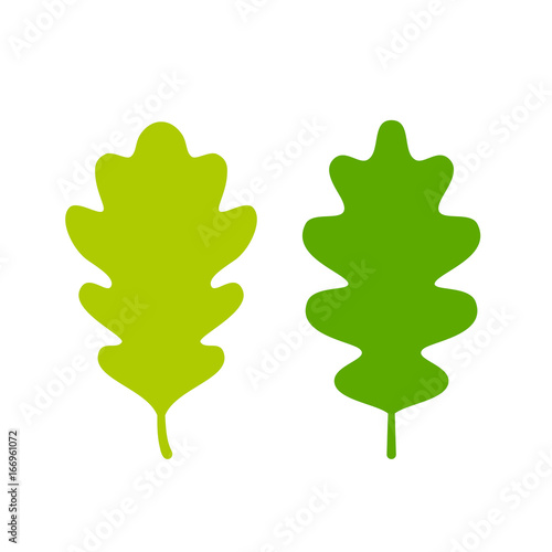 Two green oak leaves set