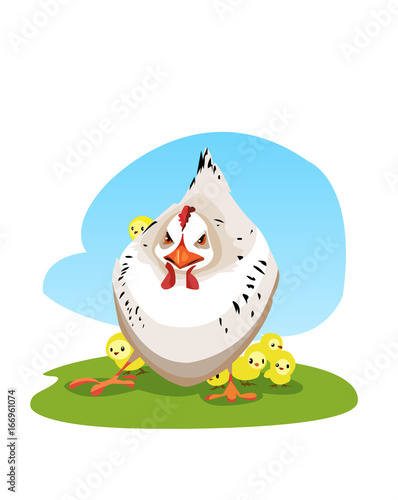 Digital vector funny comic cartoon colored angry mother chicken protecting small yellow chicks, hand drawn illustration, abstract realistic flat style