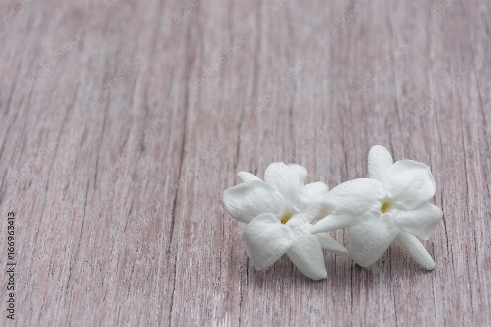 Two jasmine flowers placed on a wooden floor. Two jasmine flowers placed on a wooden floor.