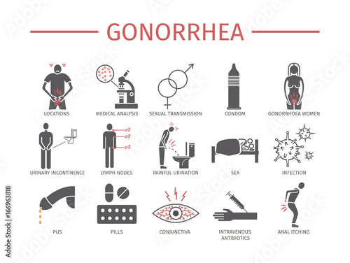 GMO. Genetically modified organism. Flat icons set. Vector signs
