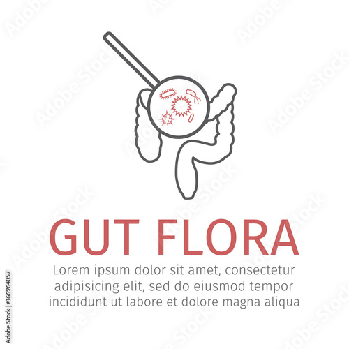 Gut flora line icon