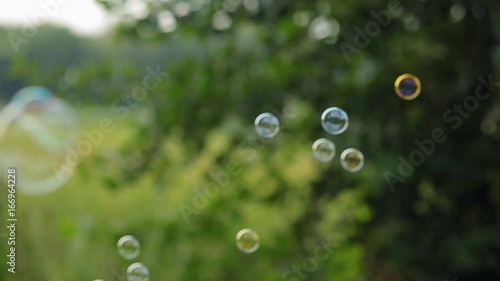 soap bubbles are flying off the trees in the forest in summer