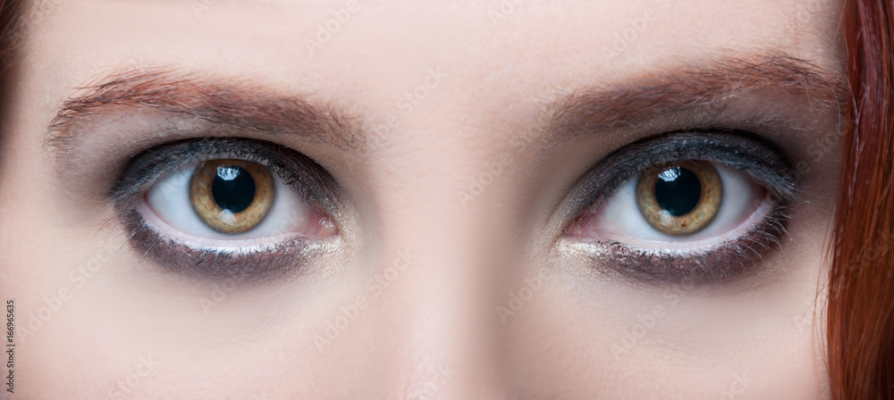 Woman's hazel eyes with makeup and brown eyebrows Woman's hazel eyes with makeup and brown eyebrows