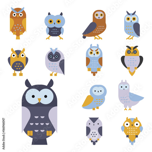Cartoon owl bird cute character symbol sleep sweet owlet vector illustration.