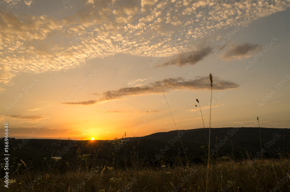 July, 2017. Summer sunrise in nature. sun is coming up outdoor