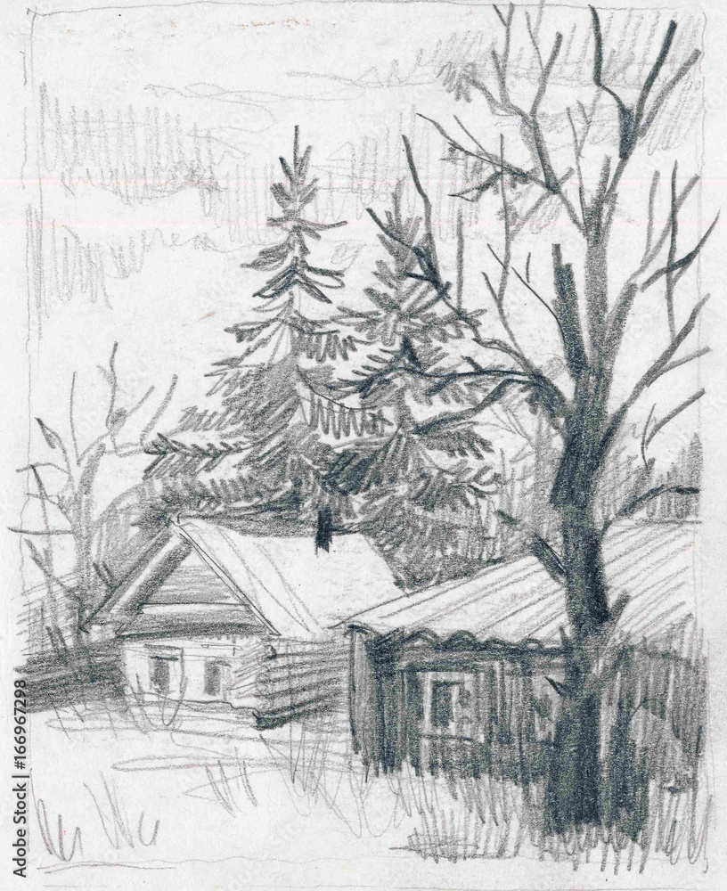 карандашный рисунок, сельский пейзаж с домиком и елками Stock Illustration  | Adobe Stock