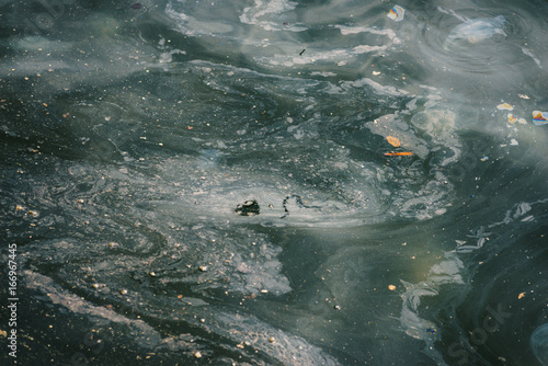 Photography Oil and garbage pollution in the water