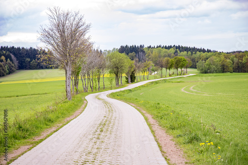 Road in nature in spring